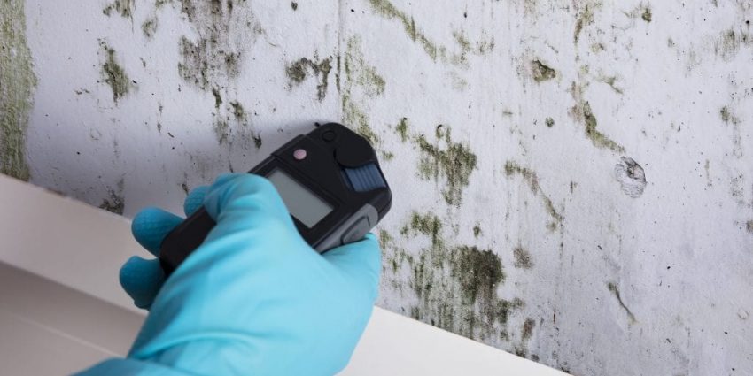 Mold Testing & Inspection